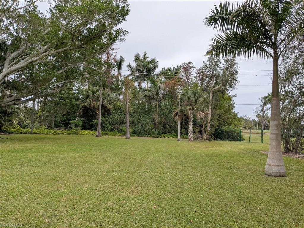 View of back  yard