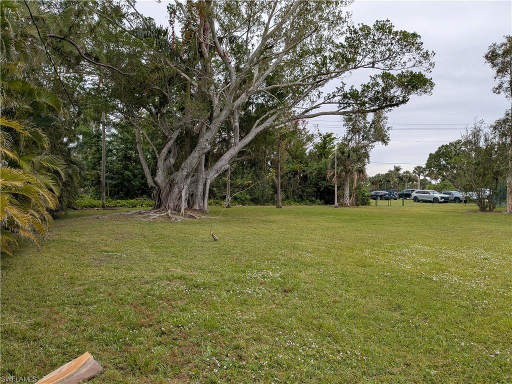 View of Back  yard