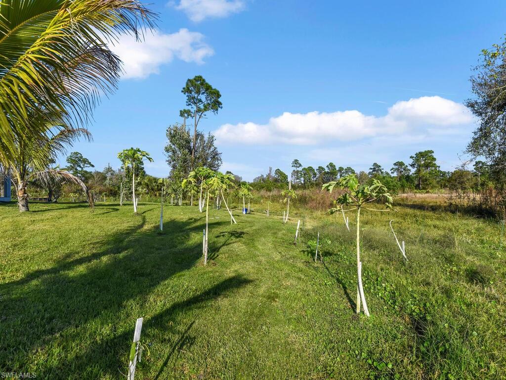 View of property's community with a yard and a rural view