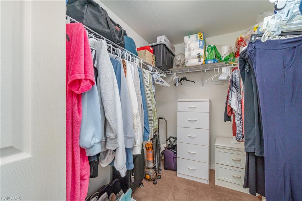 Spacious closet featuring carpet