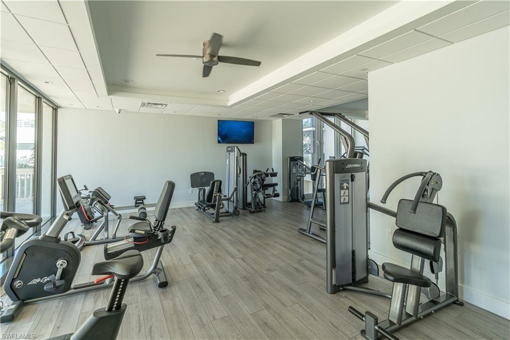 Gym with a tray ceiling, floor to ceiling windows, ceiling fan, and light hardwood / wood-style flooring