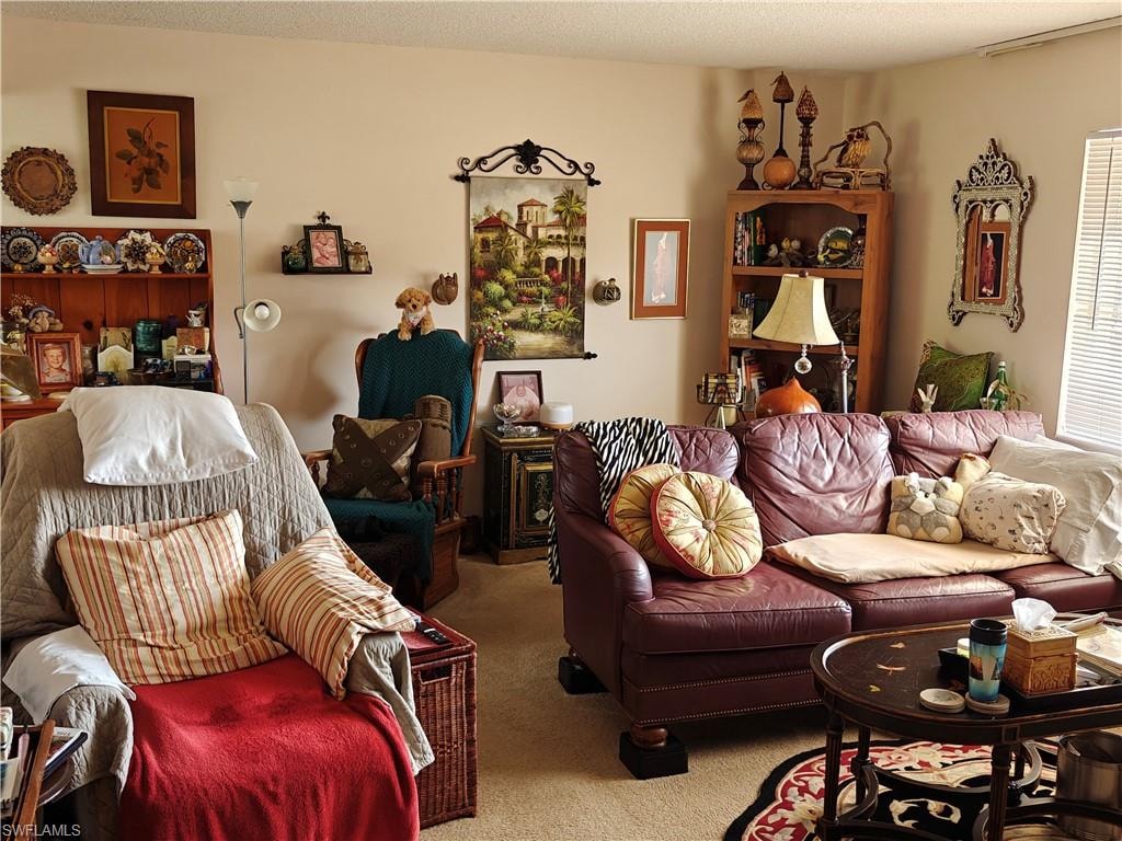 Living room with light colored carpet