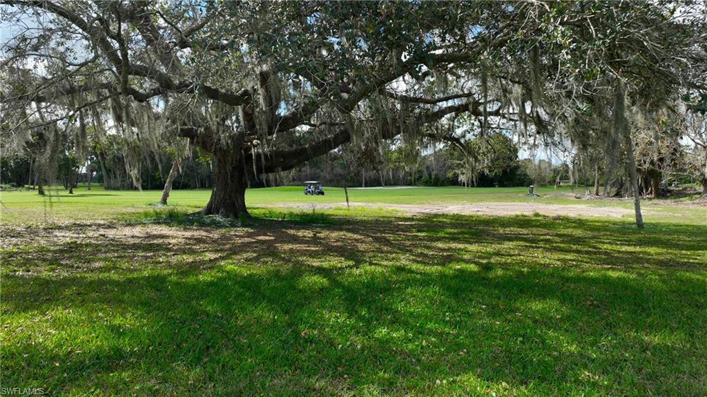8 Park Lane CIR photo 37