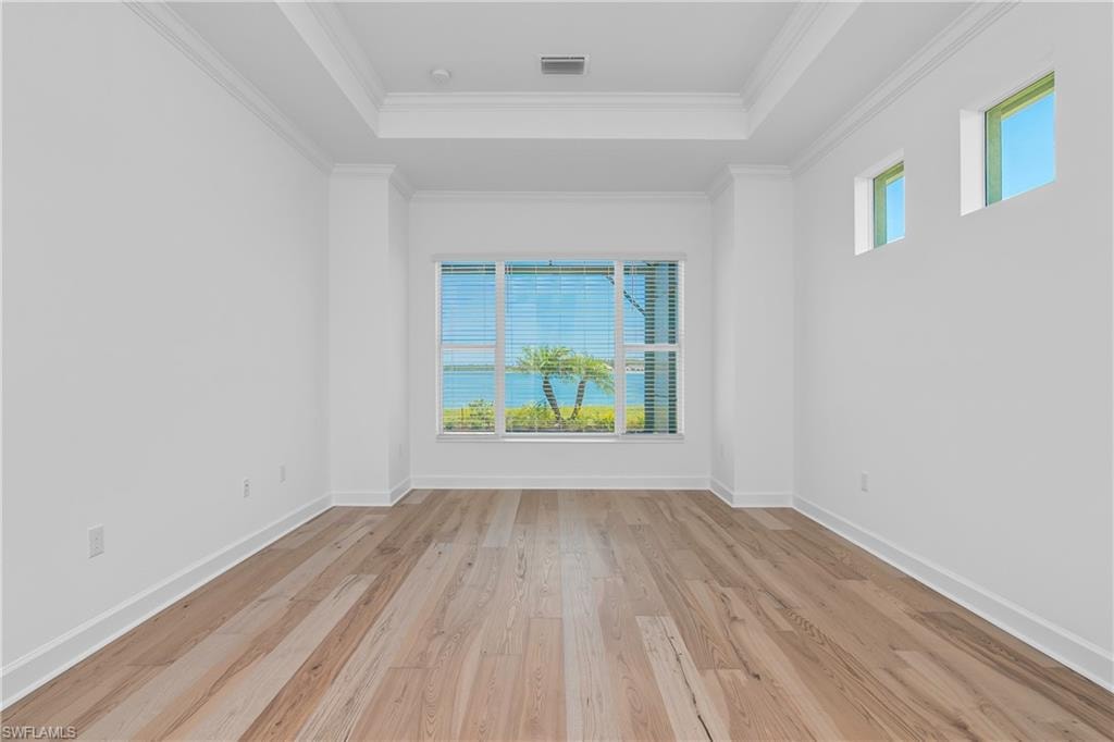 Empty room with light hardwood / wood-style flooring, ornamental molding, and a raised ceiling