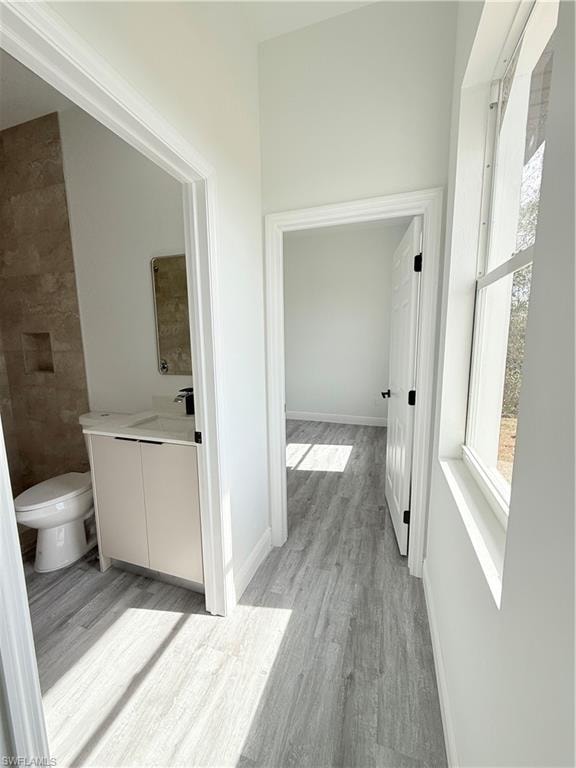 Bathroom with vanity, hardwood / wood-style floors, and toilet