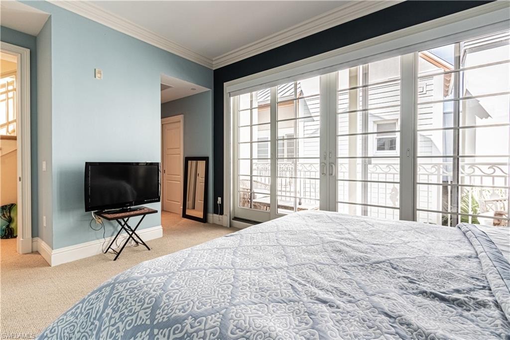 Carpeted bedroom featuring access to exterior, multiple windows, crown molding, and baseboards