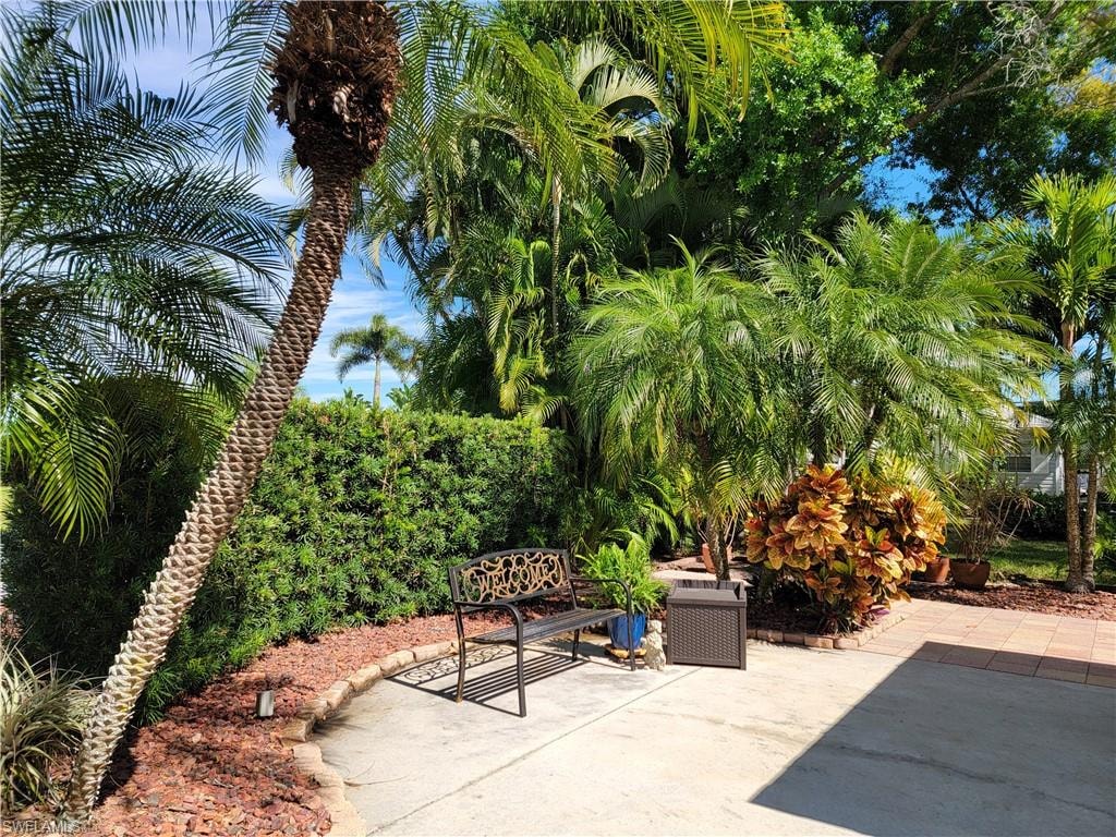 View of patio