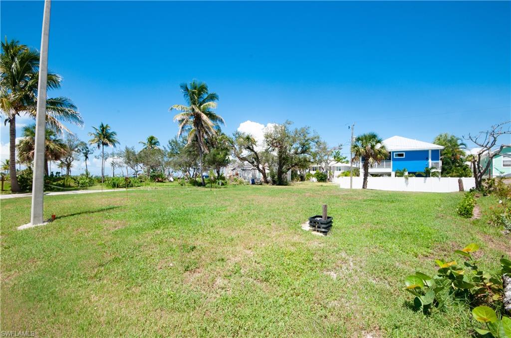 View of grassy yard