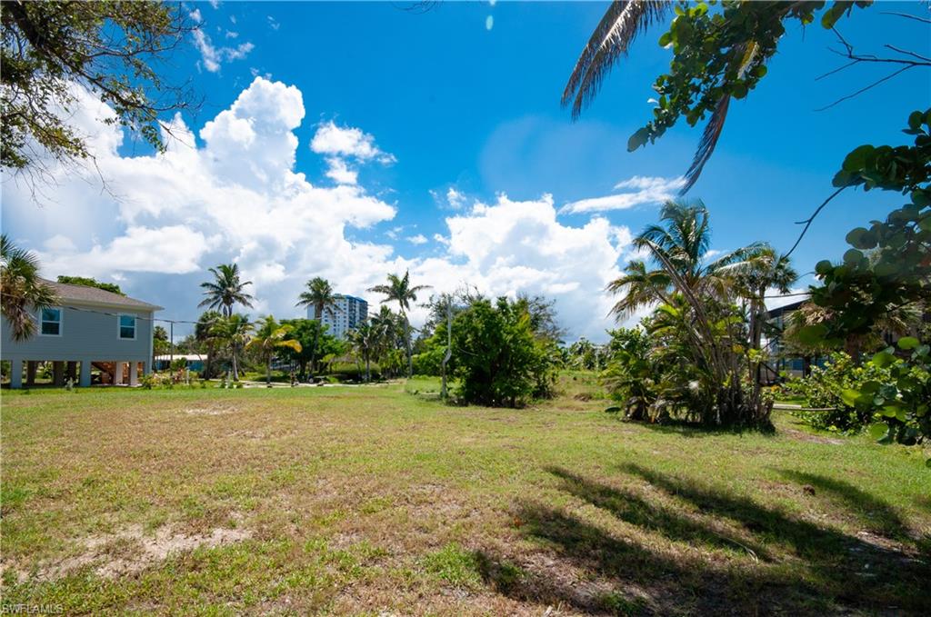 View of grassy yard