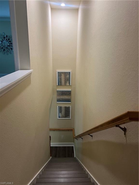 10300 Via Colomba CIR photo 13