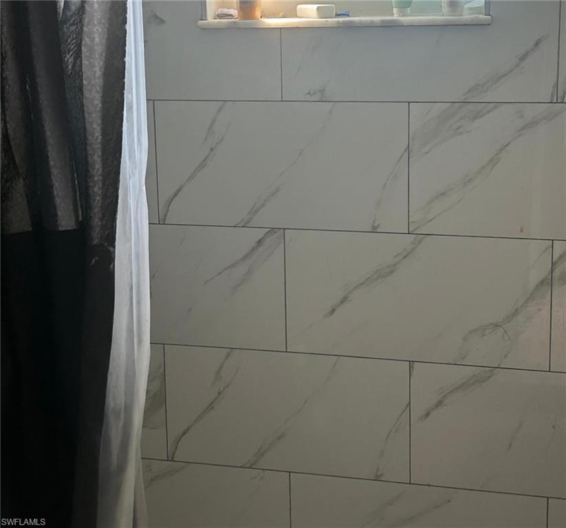 Interior details with tiled shower