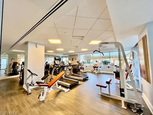 Workout area with wood finished floors, baseboards, and a drop ceiling