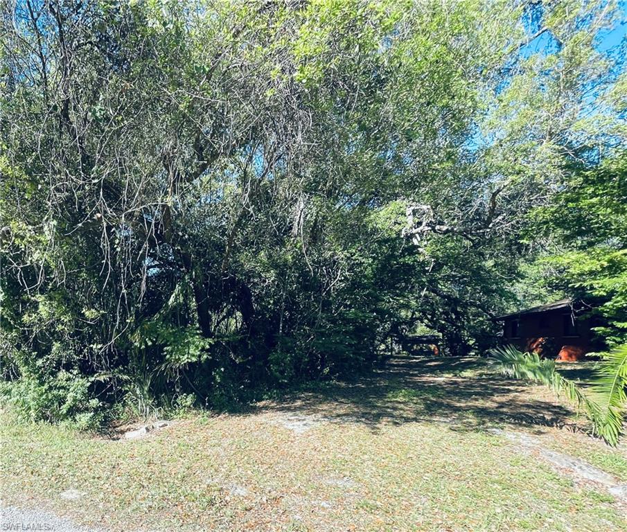 View of yard with a wooded view