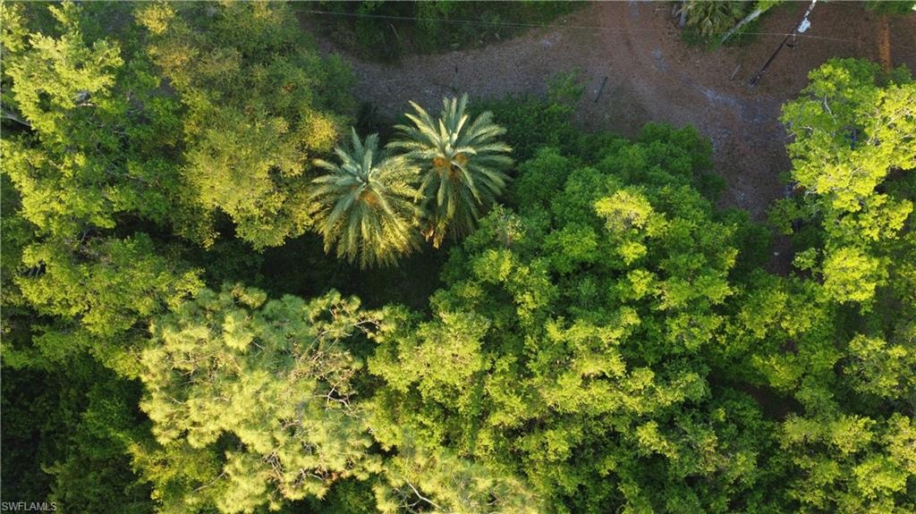 Drone / aerial view featuring a view of trees