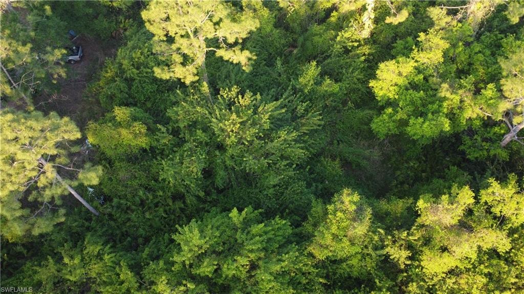 Aerial view with a wooded view
