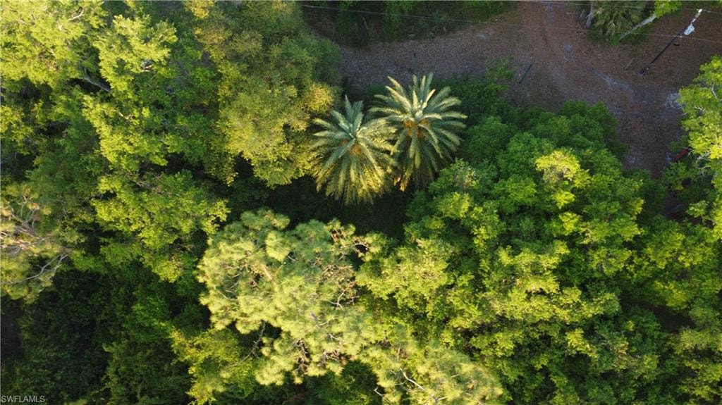 Aerial view with a forest view