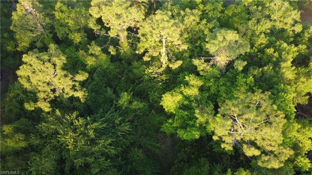 Bird's eye view with a forest view