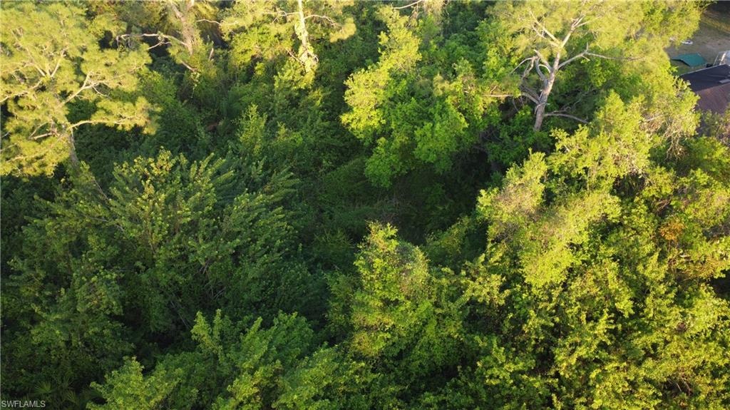 Birds eye view of property with a forest view