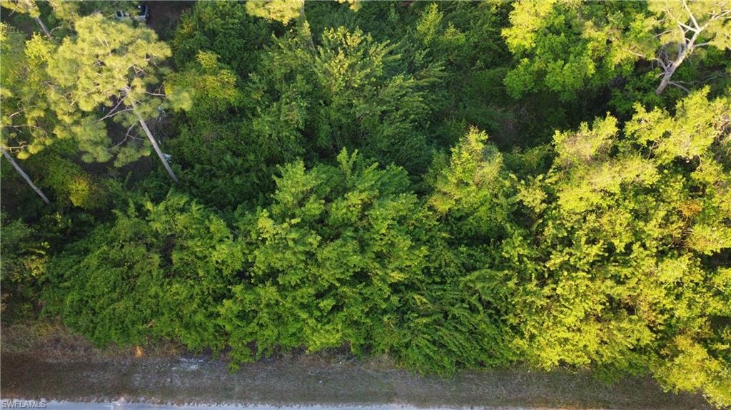 Aerial view featuring a forest view