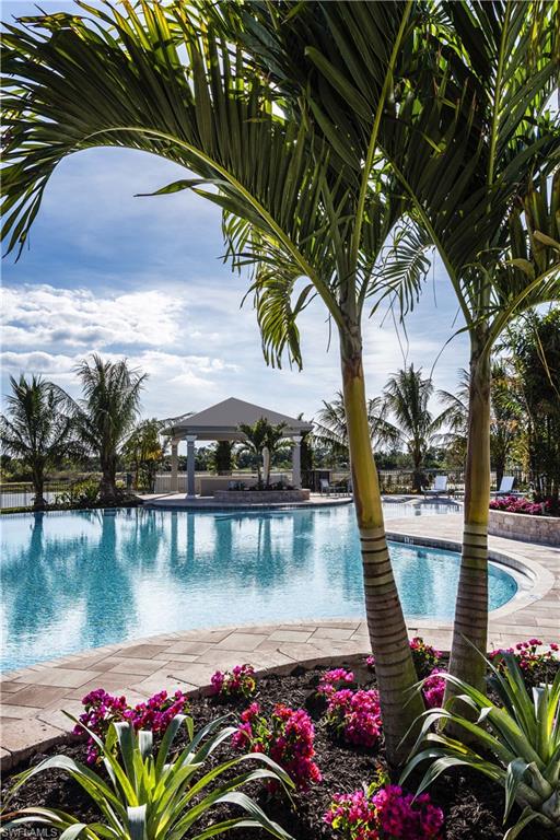 Flamingo Club Pool