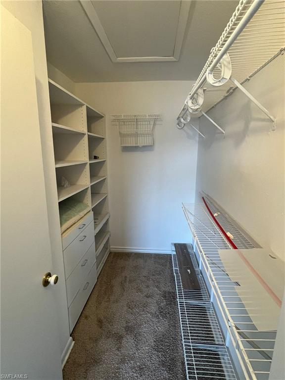 Spacious closet featuring dark carpet