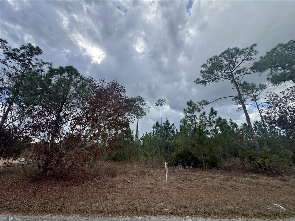 View of undeveloped land