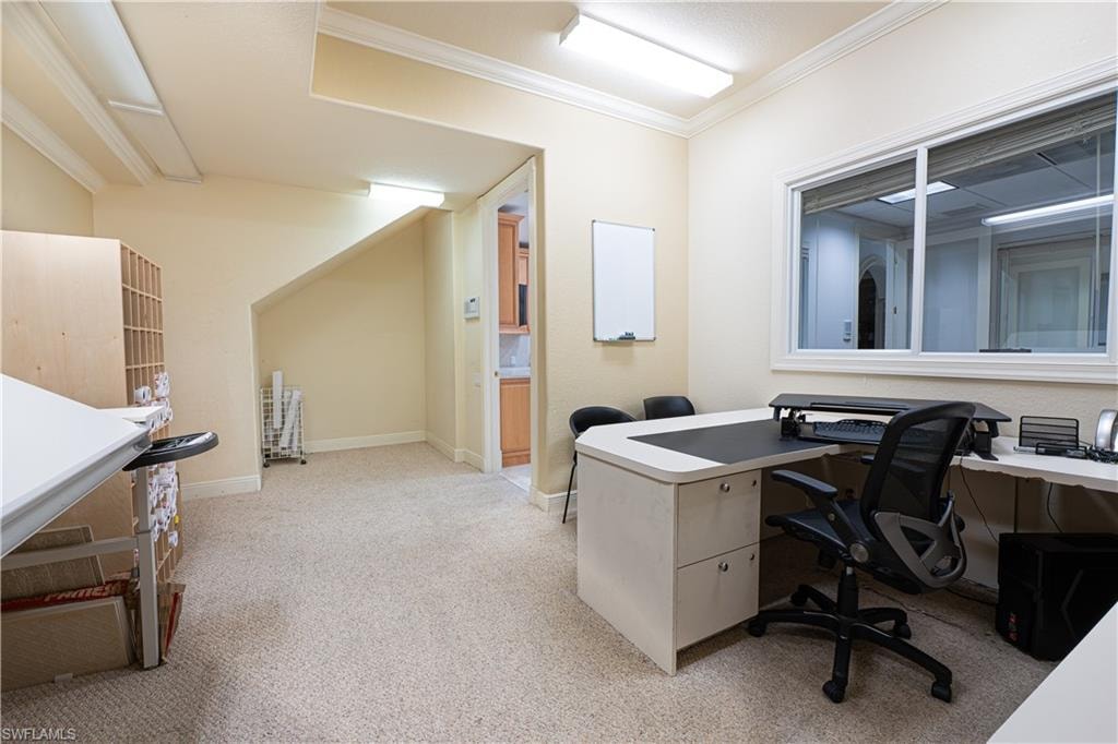 Home office featuring crown molding, baseboards, and light colored carpet