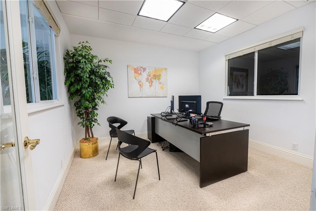 Carpeted office space featuring baseboards and a drop ceiling