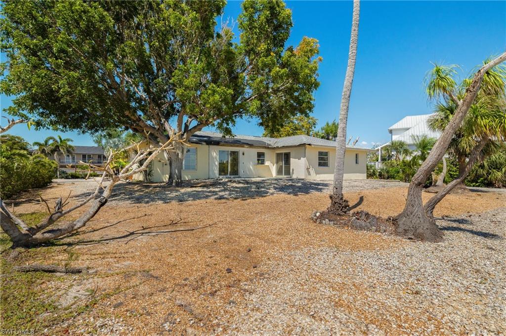 Back Exterior/Yard