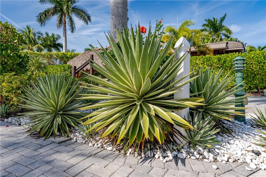 13568 Snook CIR photo 17