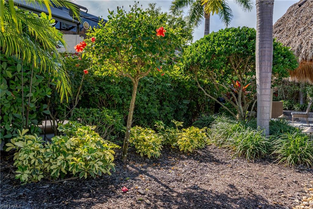 13568 Snook CIR photo 16