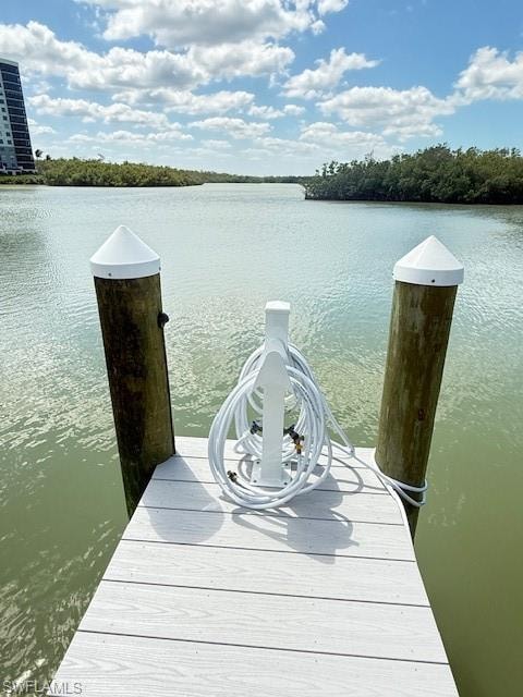 268B Wiggins Bay DR photo 8
