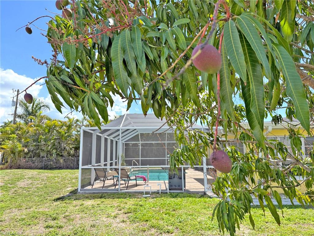 5201 Pocatella CT photo 33