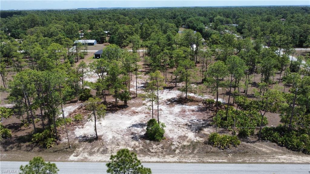 Bird's eye view featuring a wooded view