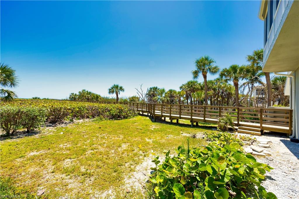 View of backyard