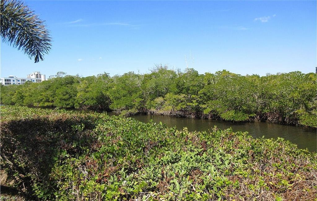 View of nature