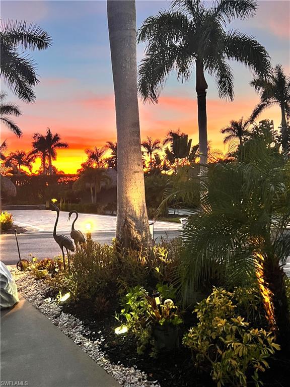 Sunset from Lot