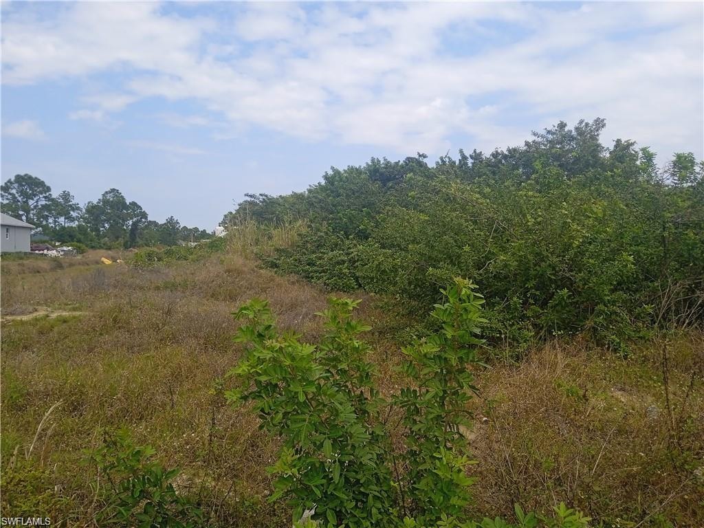View of nature