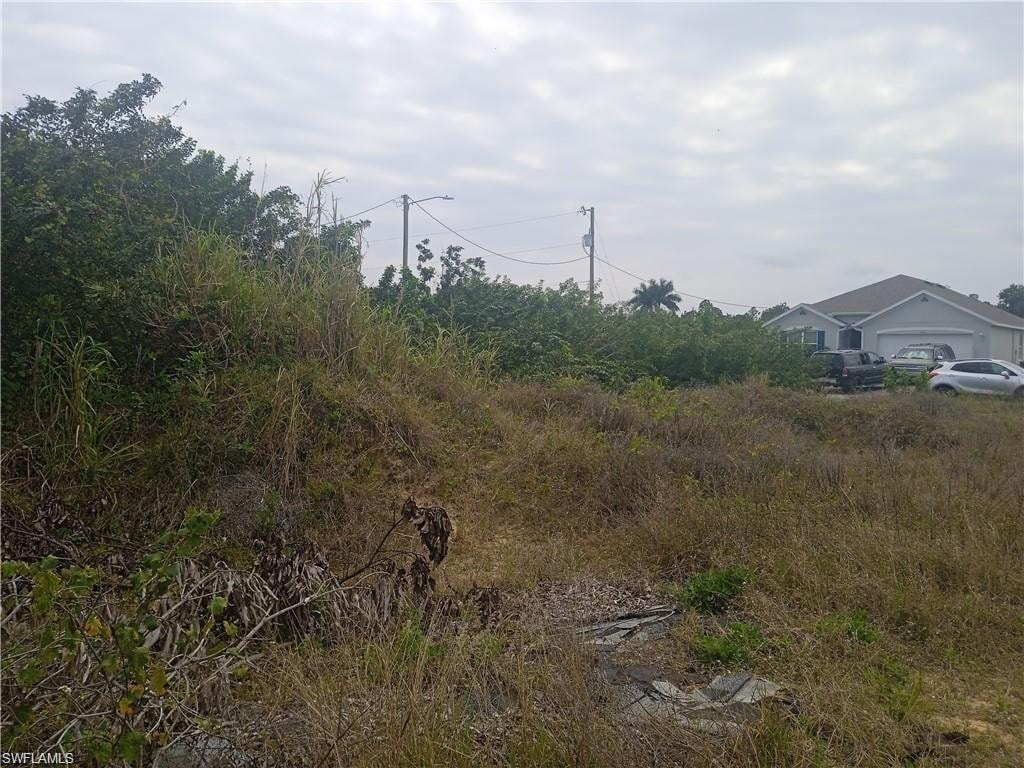 View of local wilderness