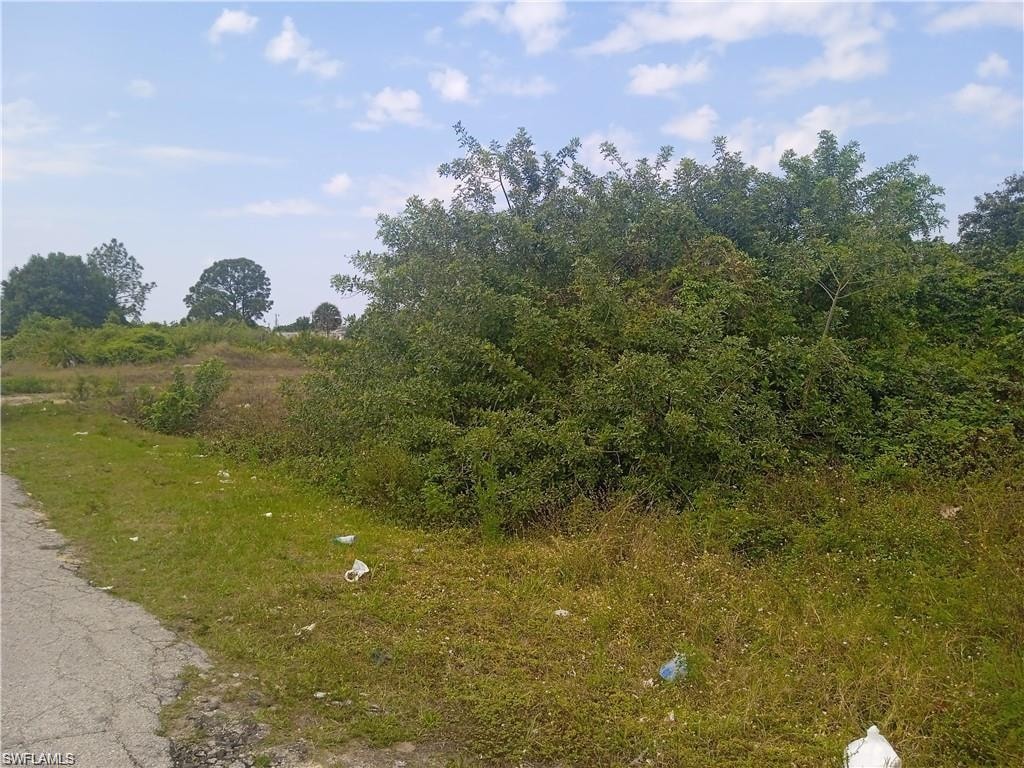 View of nature