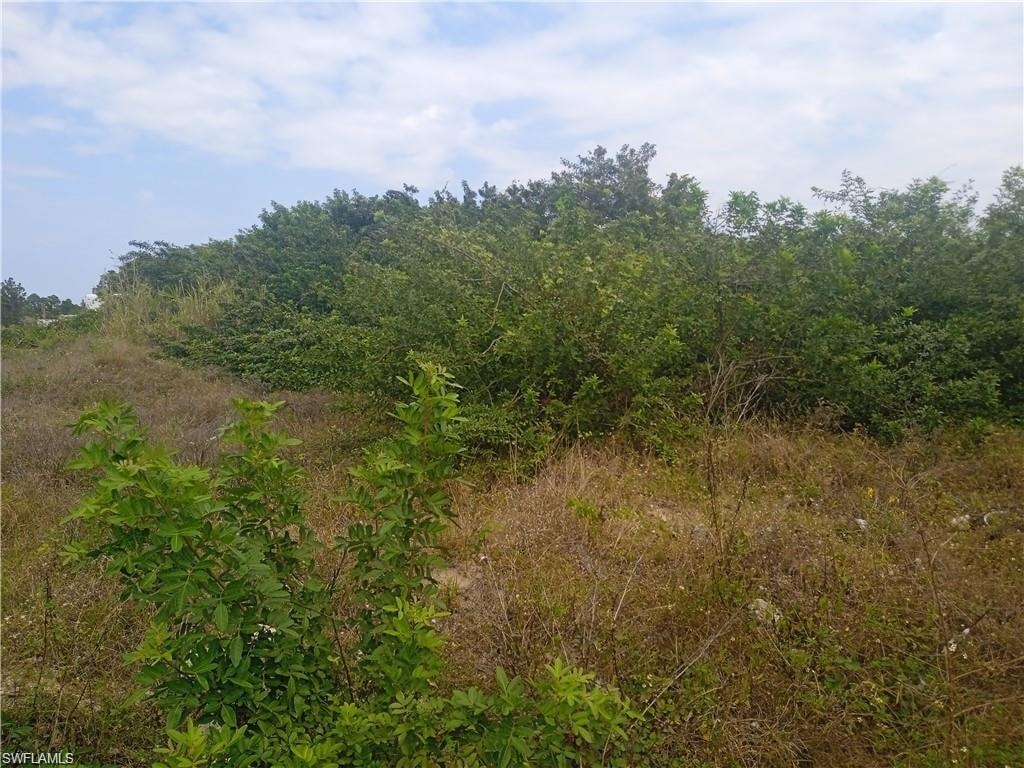 View of nature featuring a wooded view