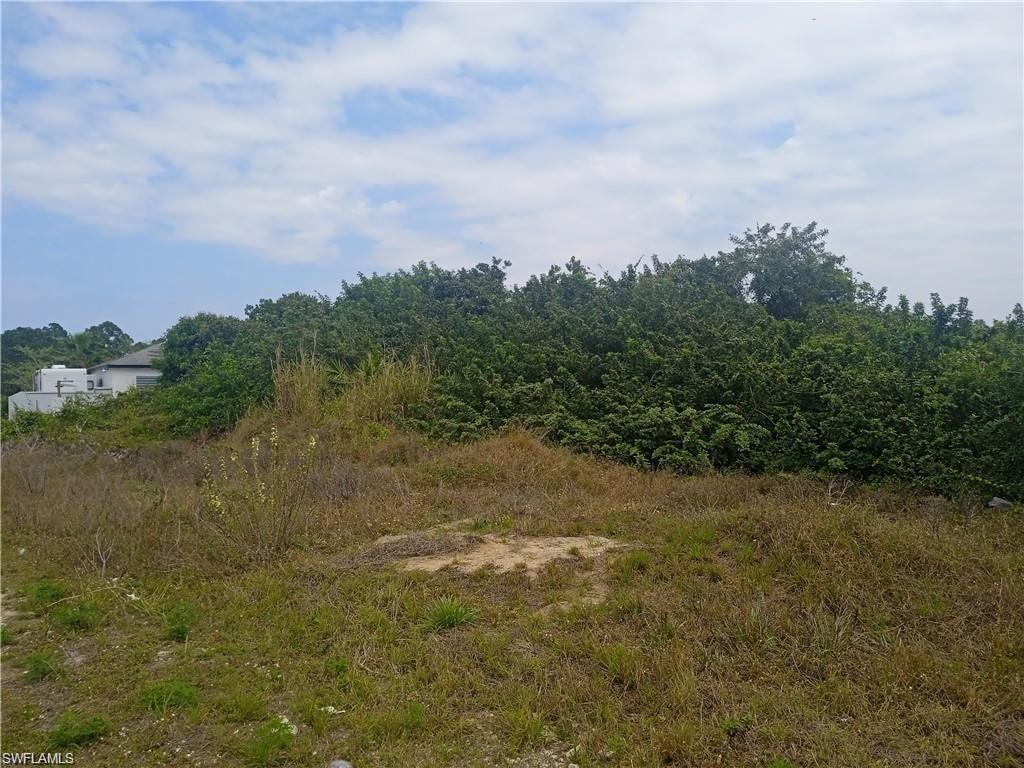 View of nature