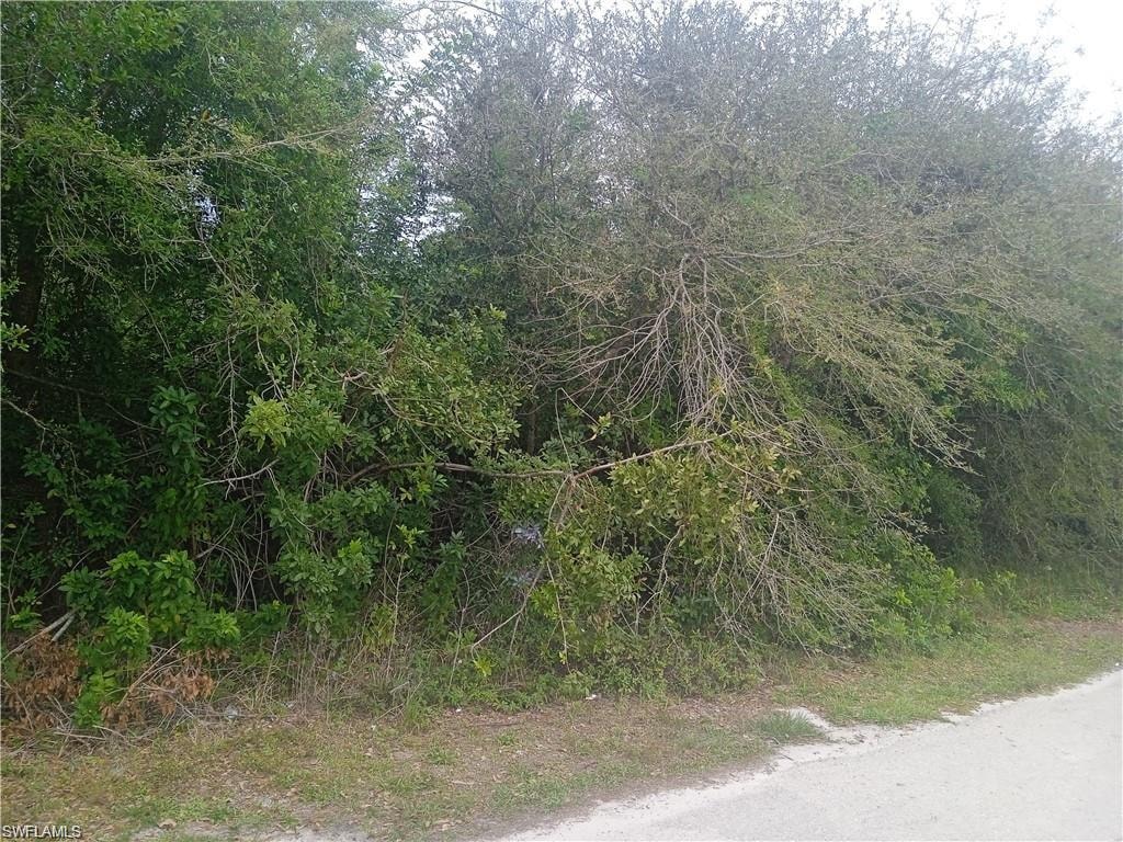 View of local wilderness