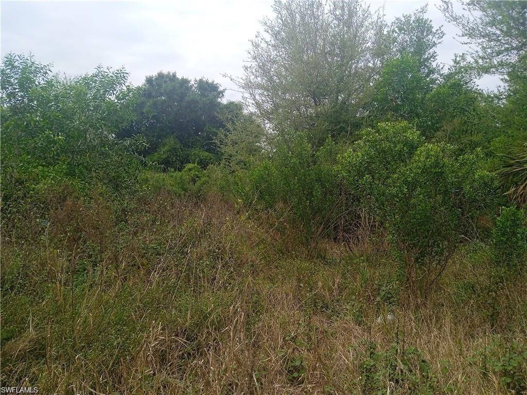 View of nature with a wooded view