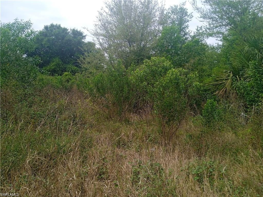 View of landscape featuring a view of trees