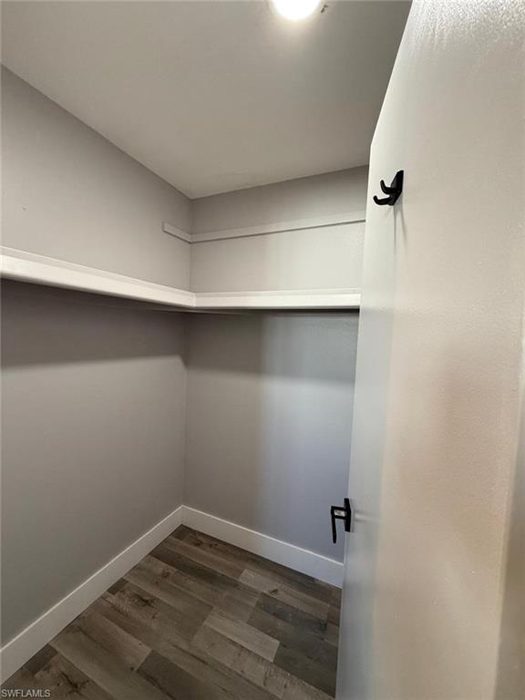 Spacious closet with dark wood finished floors