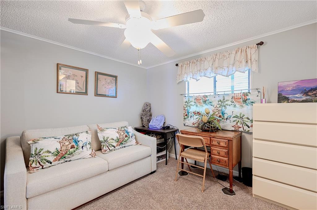 Sofa bed for quests , ornamental molding, light colored carpet, and ceiling fan