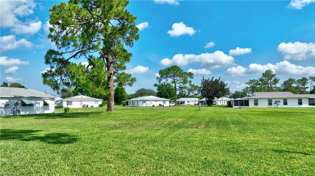 View of green lawn