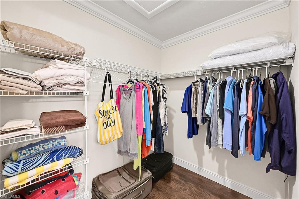 Spacious walk-in closet featuring wood finished floors