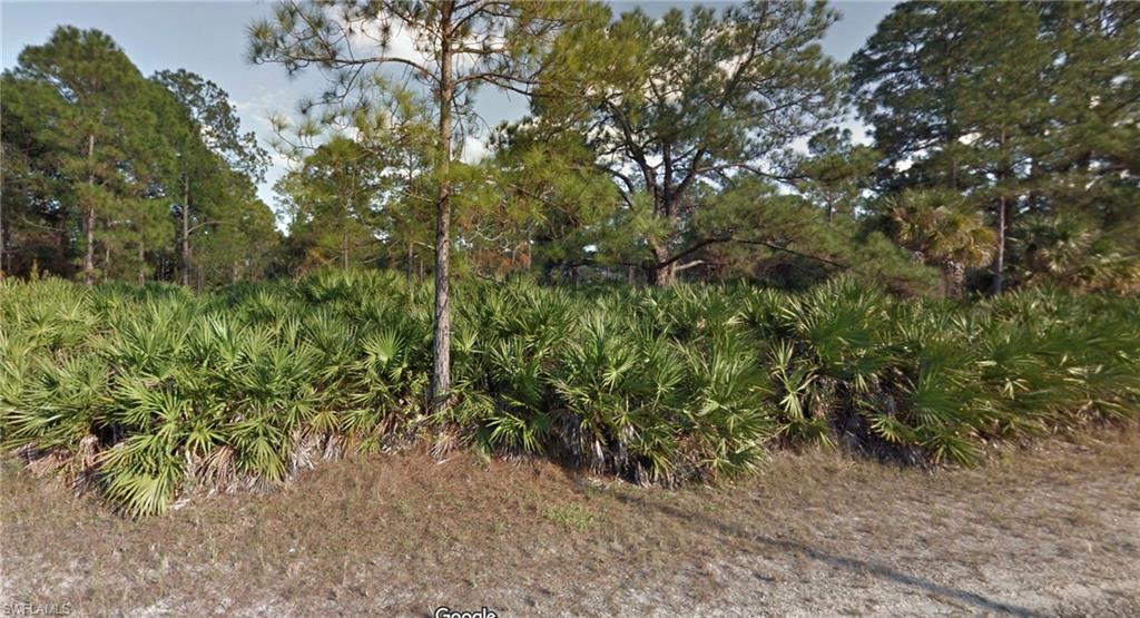 View of local wilderness